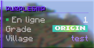 Résumé du compte Purple SMP